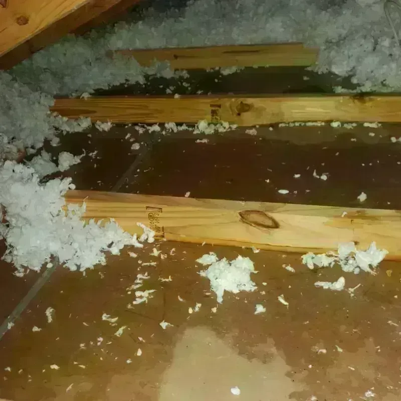 Attic Water Damage in Rio Linda, CA