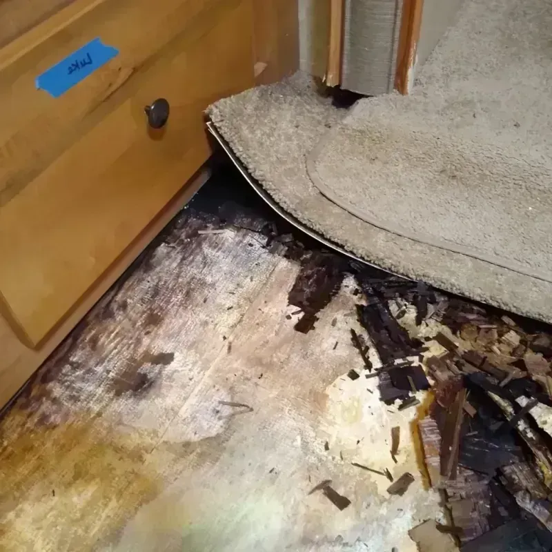 Wood Floor Water Damage in Rio Linda, CA